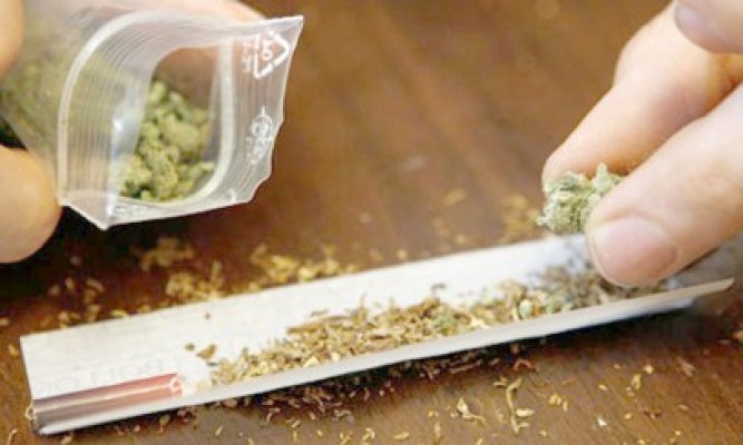 Traficanţi de cannabis, prinşi de poliţiştii de la Crima Organizată